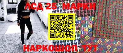 амф Кандалакша