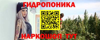 амф Кандалакша