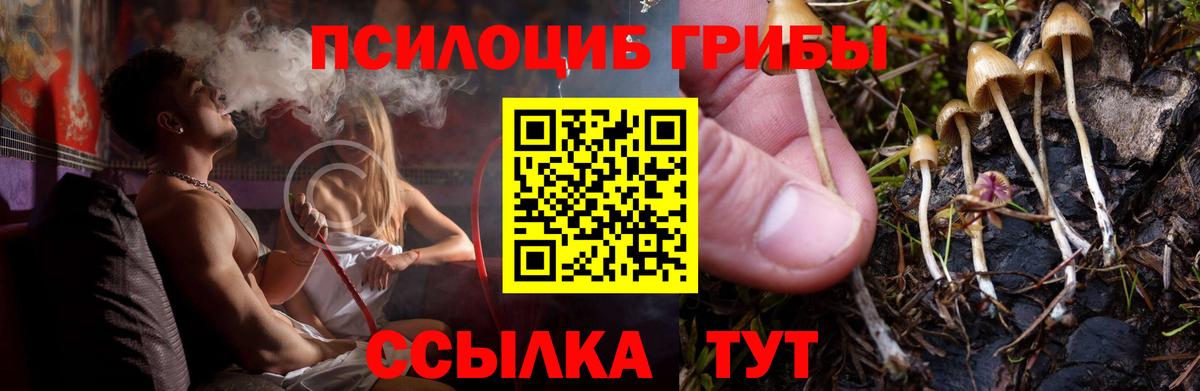 Юрга  Галлюциногенные грибы Psilocybine cubensis  где купить наркоту  Галлюциногенные грибы Magic Shrooms  Вход с VPN 